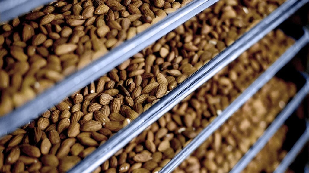 Almonds in storage at a factory